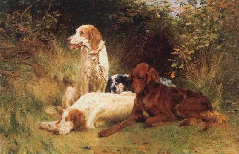 Some Dogs, unknow artist